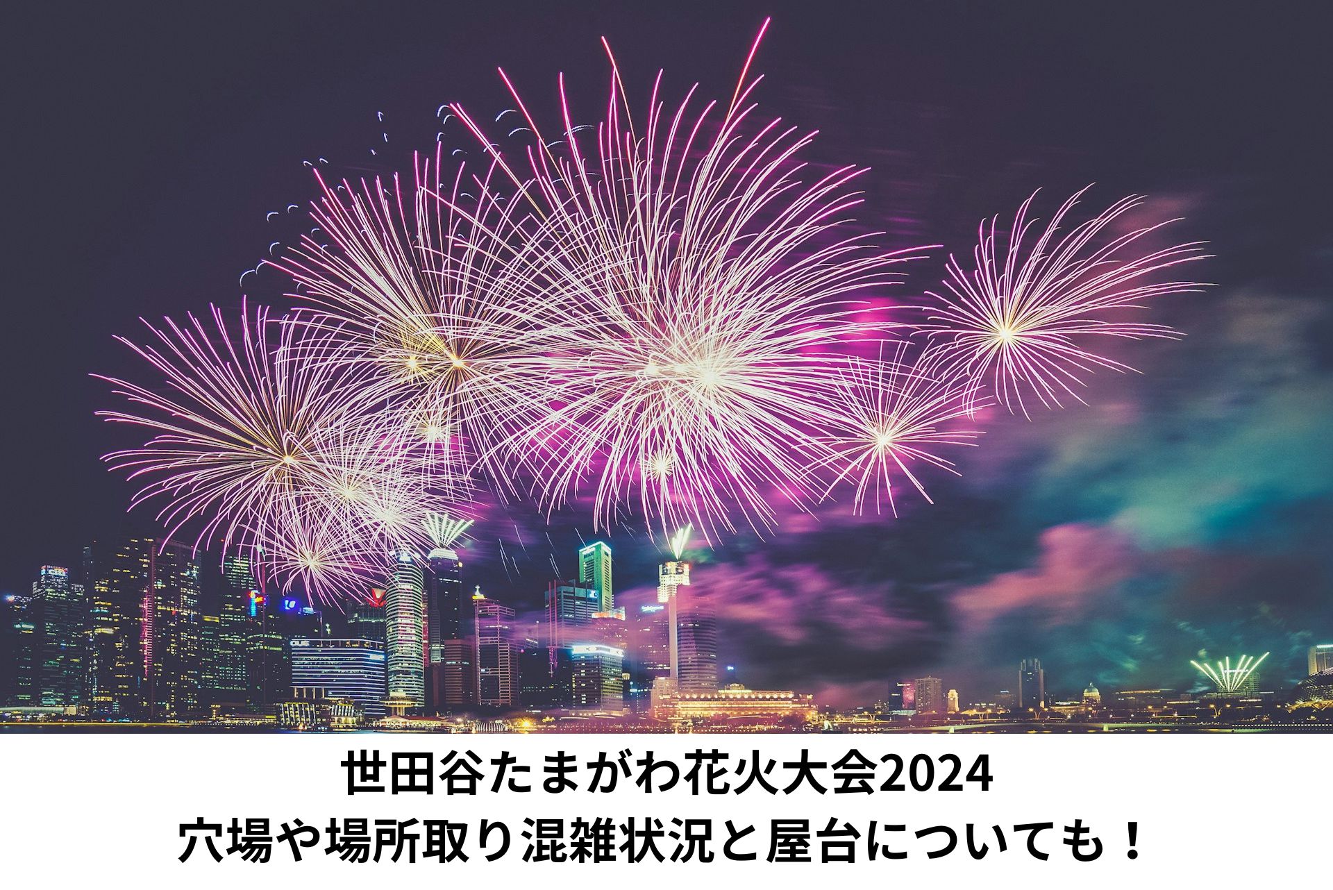 世田谷区 たまがわ花火大会 2024 思い立て ペアシート